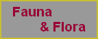 Fauna 
        & Flora